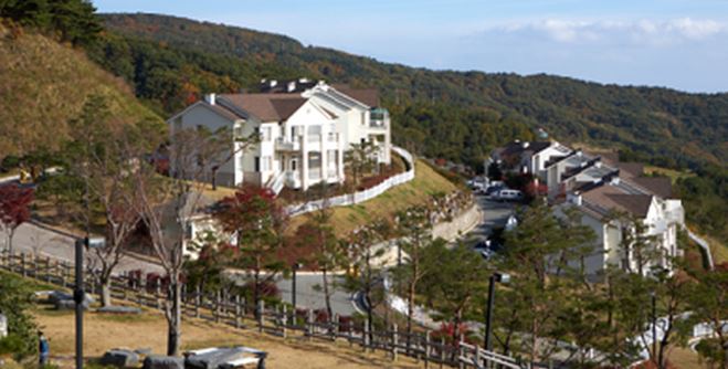 캡처.JPG