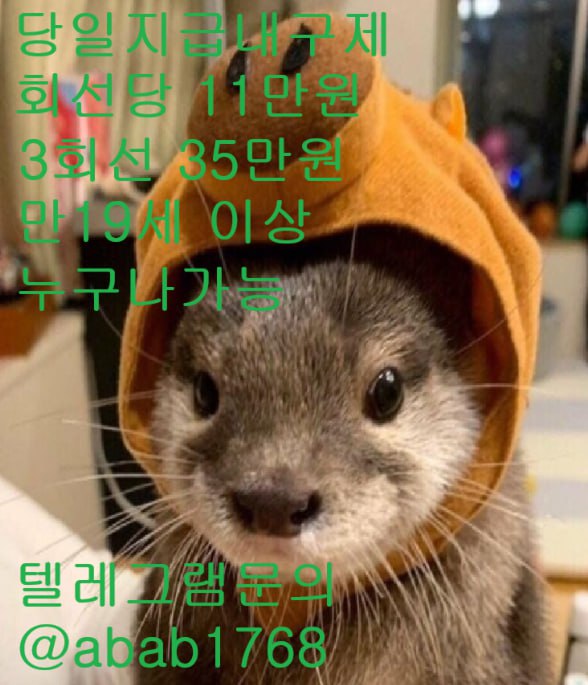 선불유심내구제 유심내구제 내구제 고액알바 급전 소액결제 소액대출 당일대출 비대면급전 가전내구제 상조내구제 (83).jpg