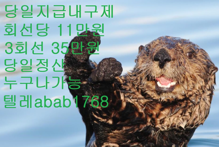 선불유심내구제 유심내구제 내구제 고액알바 급전 소액결제 소액대출 당일대출 비대면급전 가전내구제 상조내구제 (36).jpg