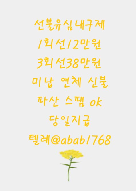 선불유심내구제 선불유심내구제 정식업체 유심내구제 유심내구제 정식업체 선불유심매입 선불유심현금화 비대면선불유심 비대면내구제 (86).jpg