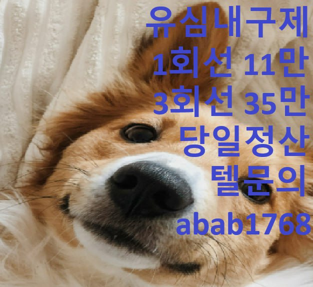 선불유심내구제 유심내구제 내구제 당일급전 소액대출 비대면당일대출 무피해내구제 내구제당일정산 (24).jpg