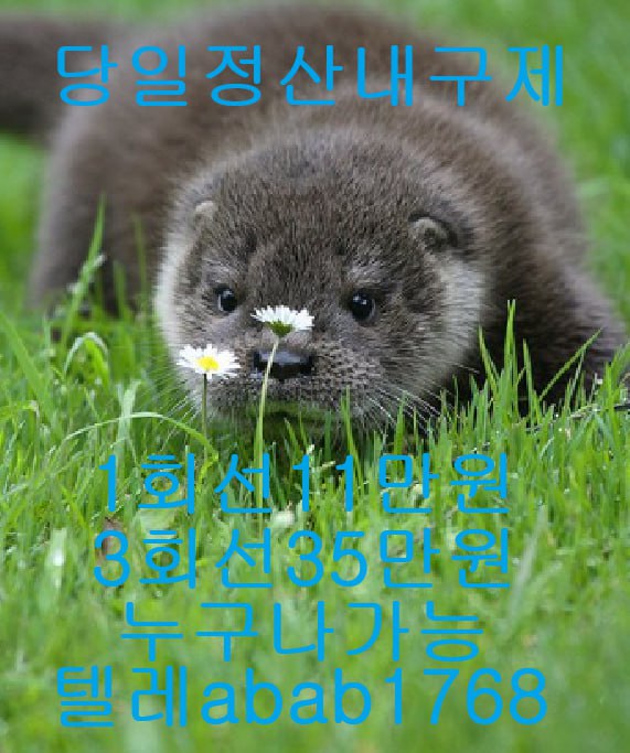 선불유심내구제 유심내구제 내구제 고액알바 급전 소액결제 소액대출 당일대출 비대면급전 가전내구제 상조내구제 (37).jpg