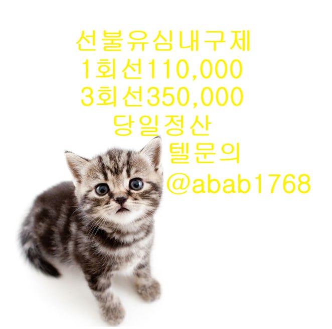 선불유심내구제 유심내구제 내구제 고액알바 당일대출 당일급전 비대면대출 비대면급전 (98).jpg