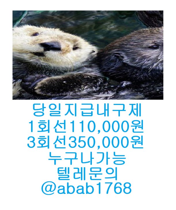 선불유심내구제 유심내구제 내구제 고액알바 급전 소액결제 소액대출 당일대출 비대면급전 가전내구제 상조내구제 (59).jpg