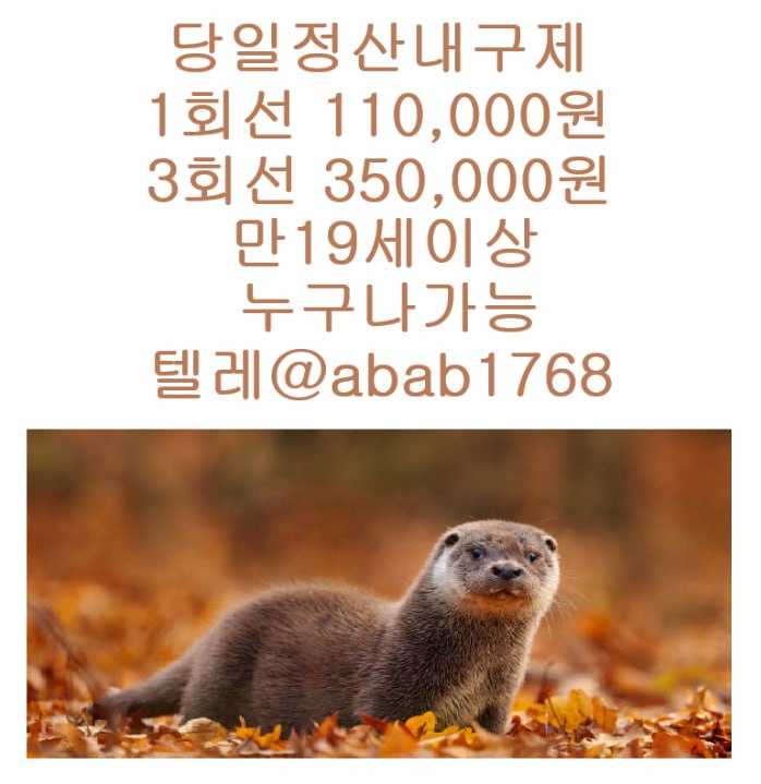 선불유심내구제 유심내구제 내구제 고액알바 급전 소액결제 소액대출 당일대출 비대면급전 가전내구제 상조내구제 (60).jpg