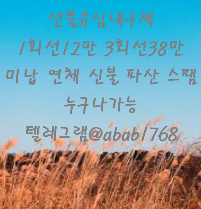 선불유심내구제 유심내구제 내구제 고액알바 당일대출 당일급전 비대면대출 비대면급전 소액결제 상조내구제 가전내구제 급전 일수 달돈 (46).jpg
