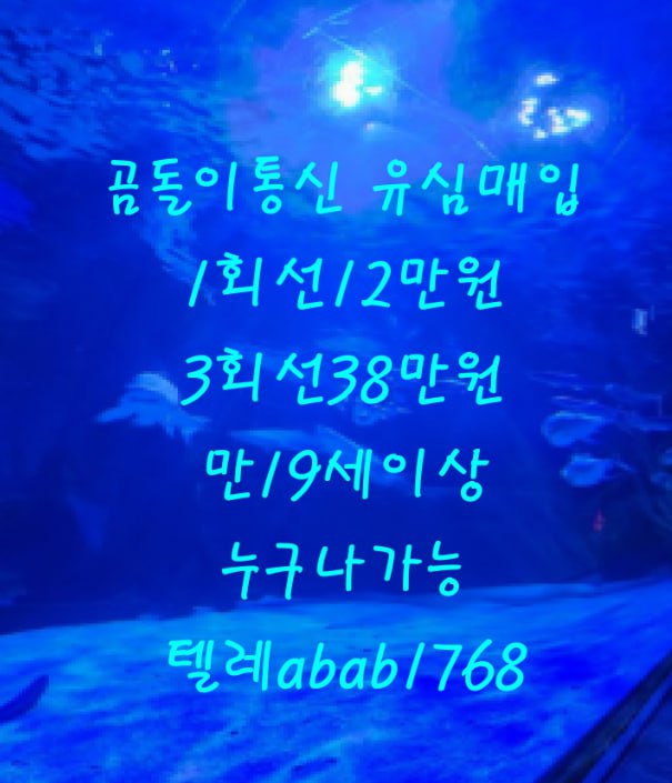 선불유심내구제 정식업체 유심내구제 전문업체 선불유심매입 유심매입 내구제매입 유심매입 선불유심내구제 전문업체 내구제 가전내구제 상조내구제  (98).jpg